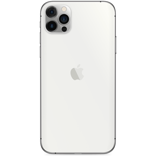 iPhone 12 Pro Max 256G